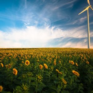 Welcome to C3 – A News Magazine for Conservatives Who Care About the Environment